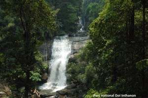 AThaïChiangMai (168)