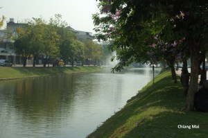 AThaïChiangMai (6)