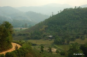 AThaïChiangMai (94)