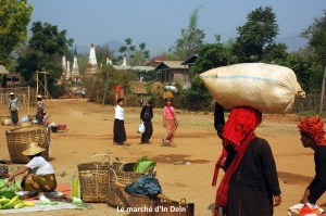 BBurma2LacInle (102)