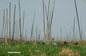 BBurma2LacInle (168)