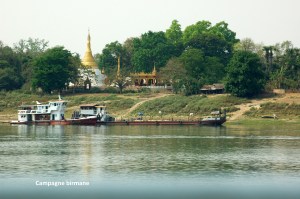 CBurmaIrrawaday (47)