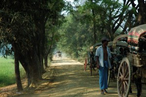 CBurmaMandalay (134)