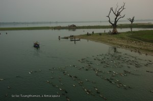 CBurmaMandalay (165)