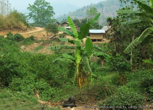 DLaos DescenteduMékong  (40)