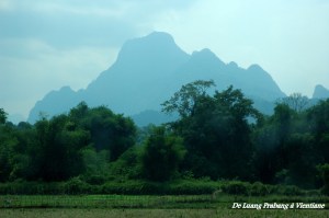 DLaosLuangVientiane (8)