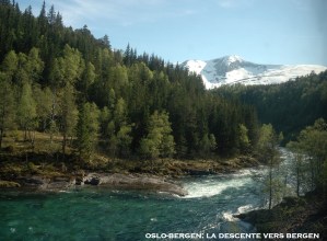 2 Oslo-Bergen (44)