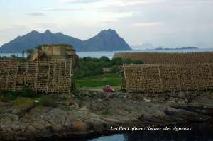 Croisière Arctique (184)