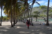 Les Saintes: Plage de Pompierre