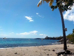 Basse-Terre (55b) (1)