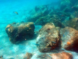 Basse-Terre (55b) (10)