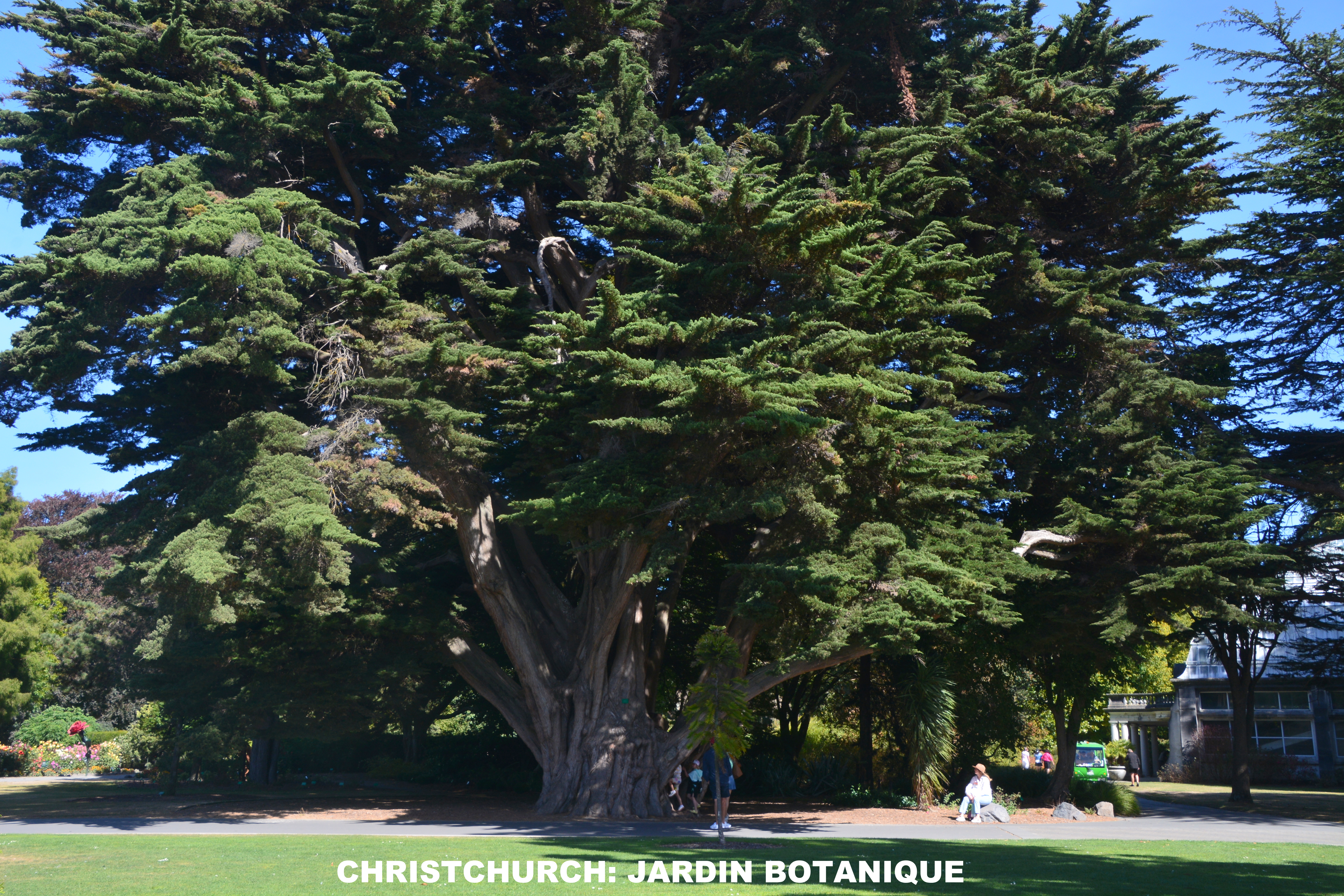 CHRISTCHURCH: JARDIN BOTANNIQUE