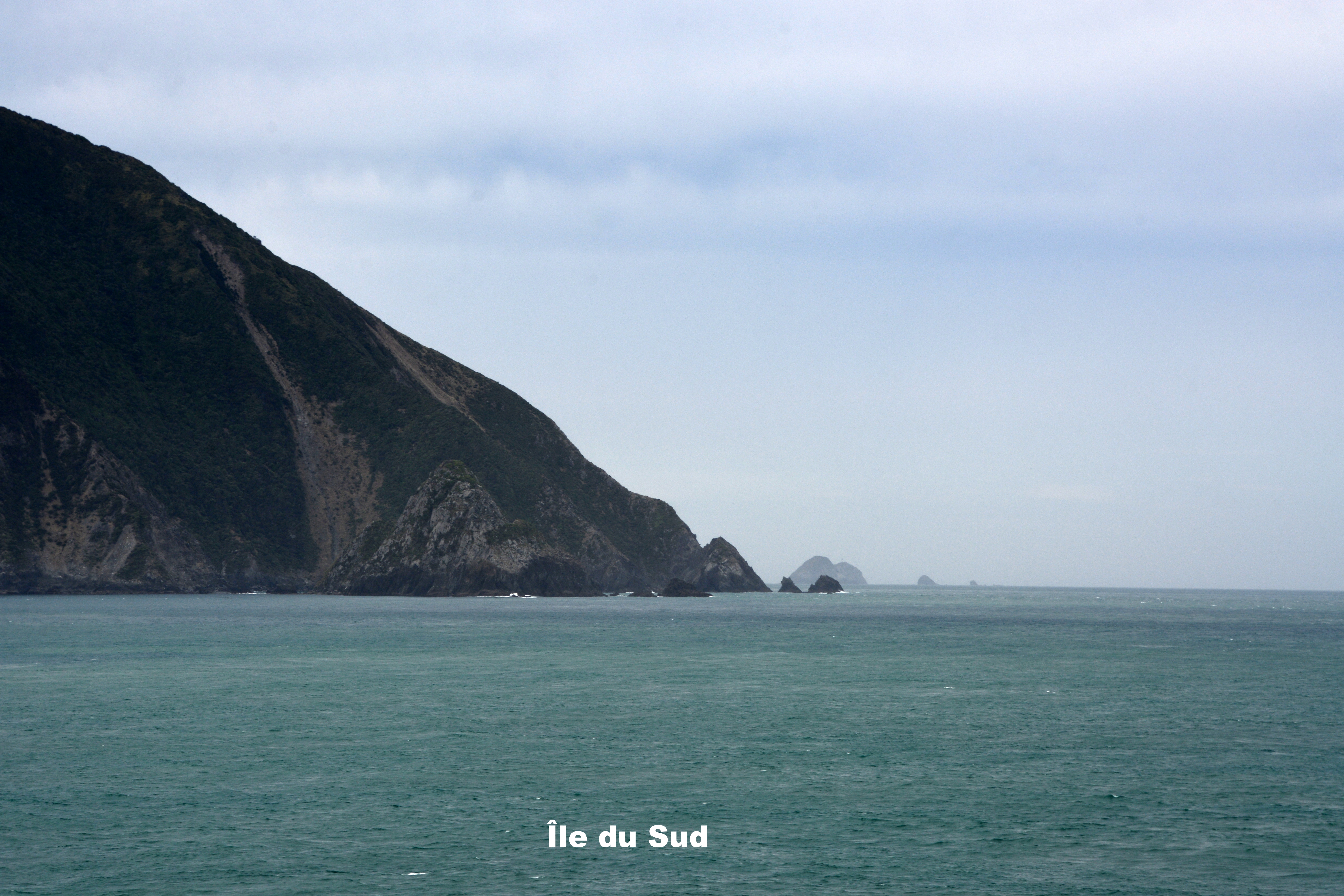 TRAVERSIER PICTON-WELLINGTON